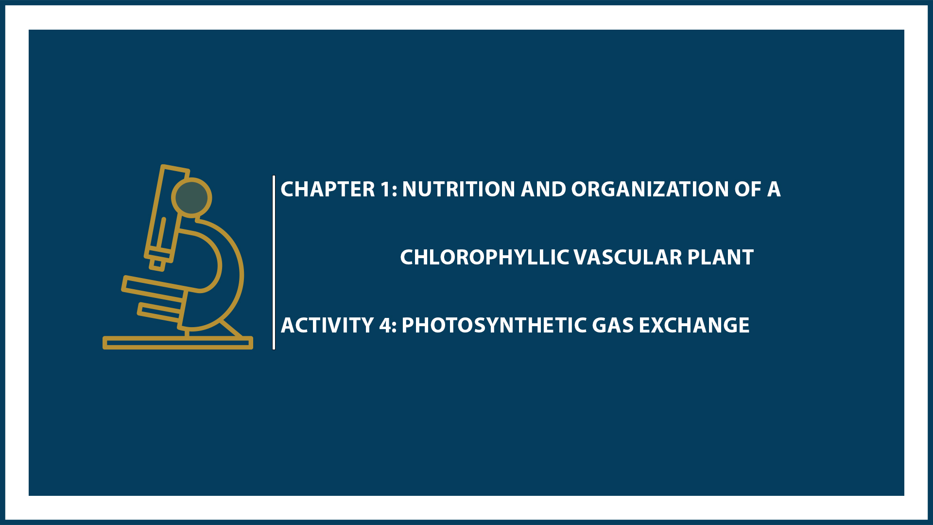 Chapter 1: Activity 4: Photosynthetic Gas Exchange